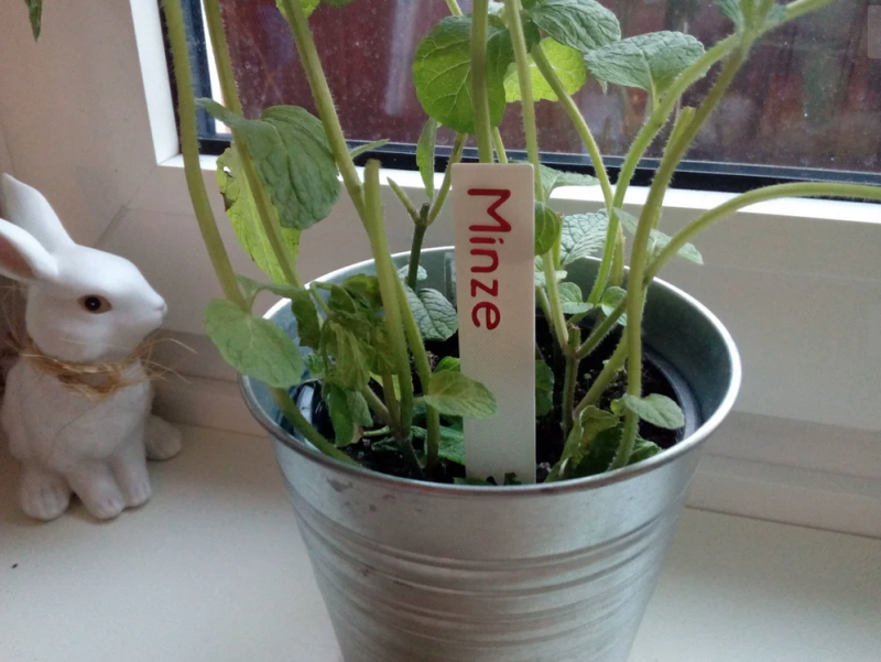 plantsigns.png plantsigns.png