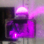 1d-pong_inside_animation.gif