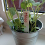 plantsigns.png