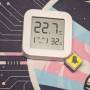 gehacktes_thermometer.jpg